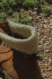 To Bet One's Boot