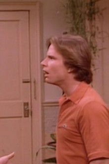 Bosom Buddies - Season 1