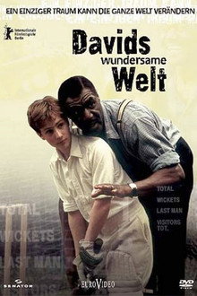Davids wundersame Welt
