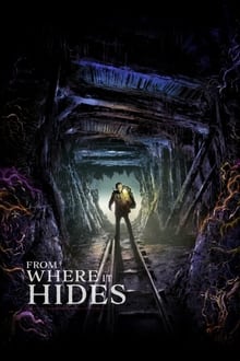 Poster do filme From Where it Hides