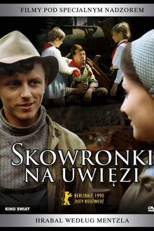 Skowronki na uwięzi