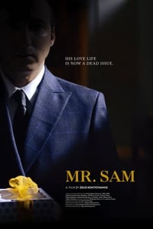 Poster do filme Mr. Sam