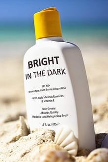 Poster do filme Bright in the Dark