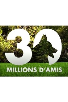 Poster da série 30 millions d'amis