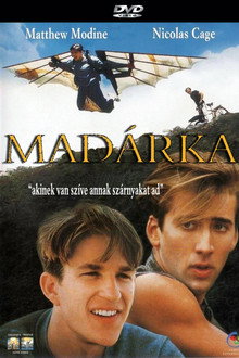 Madárka