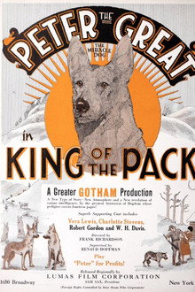 King of the Pack