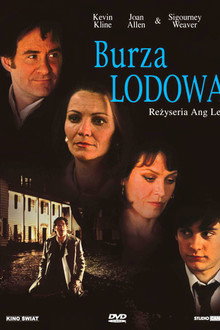 Burza lodowa