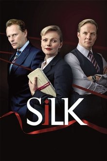 Poster da série Silk