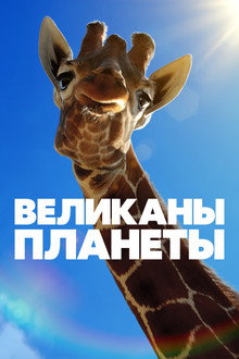Сезон 1