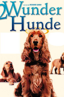 2 Wunder Hunde