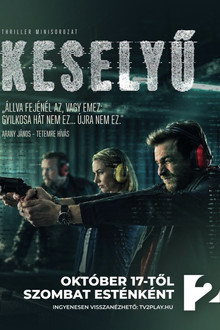 Keselyű