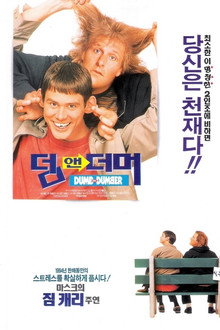 덤 앤 더머