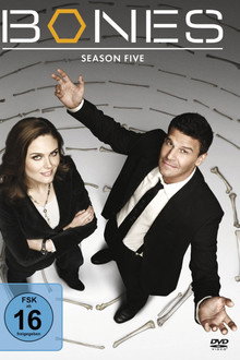 Staffel 5
