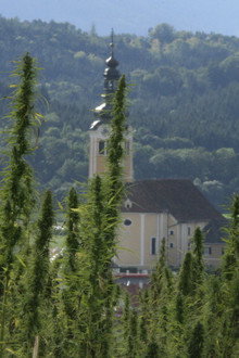 Zustandswechsel