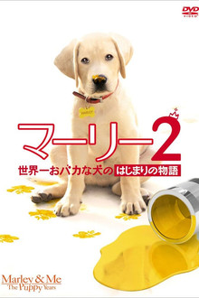 マーリー2　世界一おバカな犬のはじまりの物語