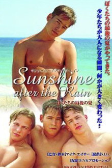 Sunshine After the Rain