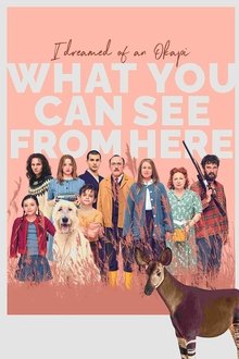 What You Can See from Here