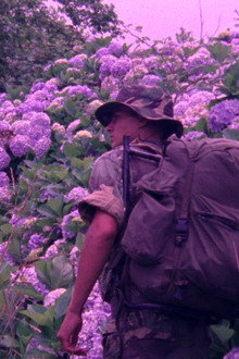 Flores