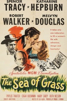 Poster do filme Mar Verde
