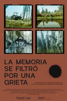 La memoria se filtró por una grieta