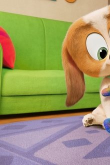 Dog-Days-Out