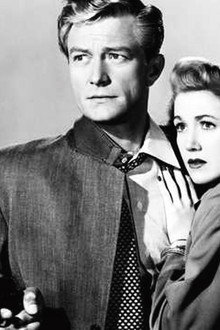 Insurance Investigator