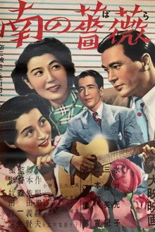 南の薔薇