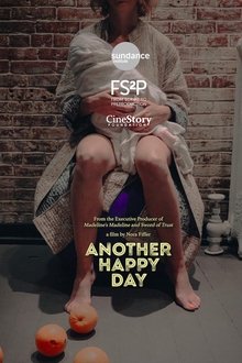 Poster do filme Another Happy Day