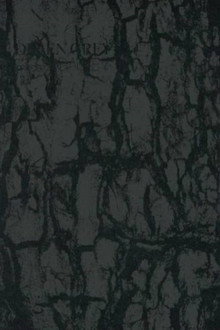 Dir En Grey - Tour 14 Psychonnect - Mode Of 