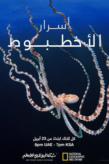 أسرار الأخطبوط