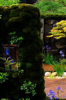 RHS Chelsea Flower Show
