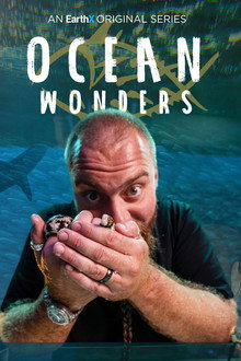 Ocean Wonders