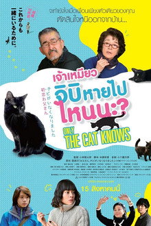 เจ้าเหมียวจิบิหายไปไหนนะ?