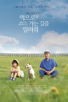 역으로 가는 길을 알려줘