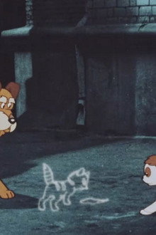 Следы на асфальте