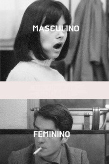 Masculino - Feminino