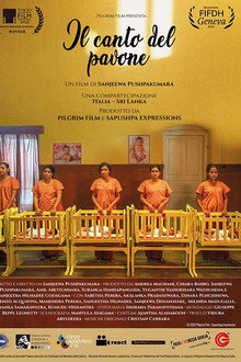 Il canto del pavone