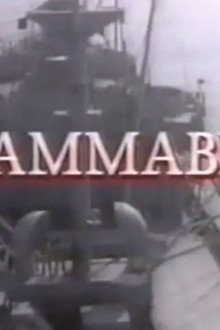 Inflammable
