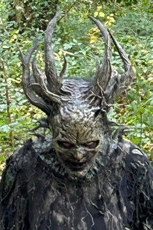 The Cull