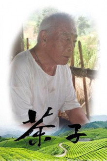 茶子