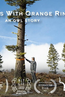 The Trees with Orange Rings