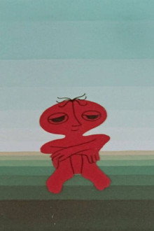 Полет