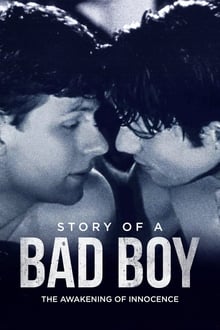 Poster do filme Story of a Bad Boy