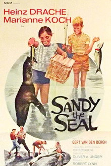 Sandy the Seal