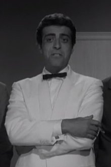 Photo of Paul Stassino
