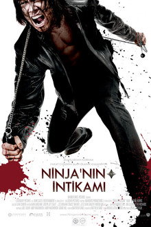 Ninja'nın İntikamı