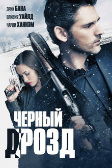 Чёрный дрозд