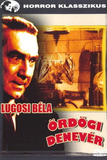 Ördögi denevér