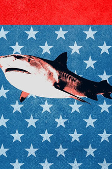 Tiger Shark King