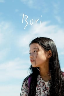 Poster do filme Bori